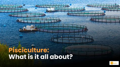 What is Pisciculture, Its Type and Methods .